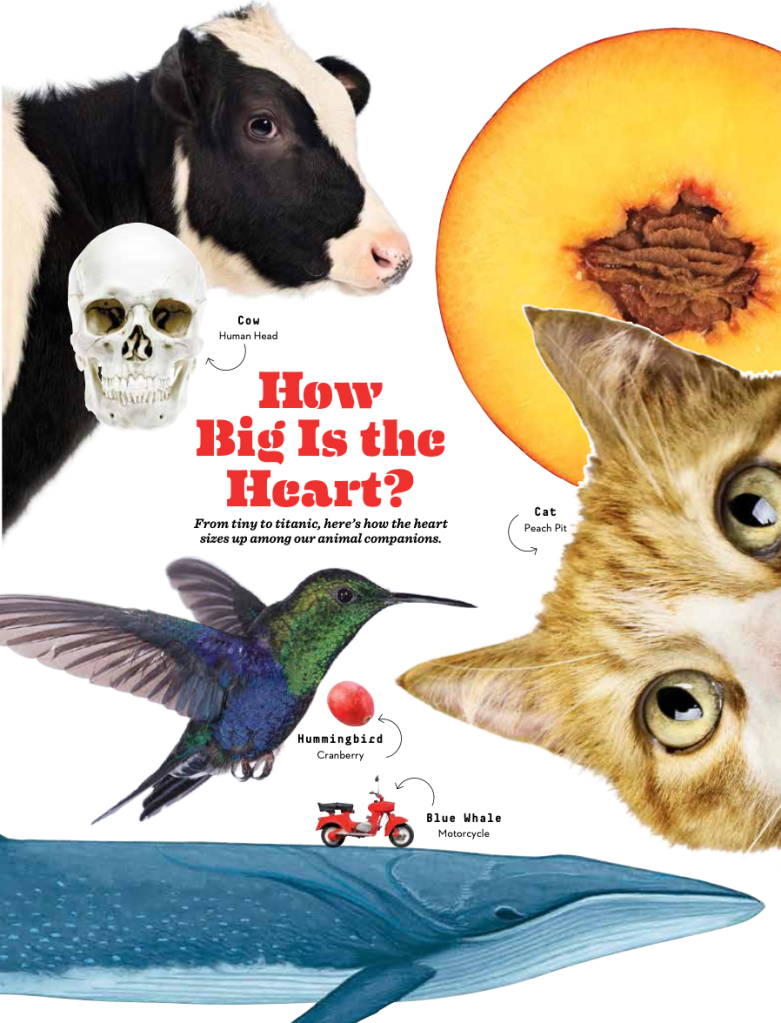 Screenshot-2023-05-09-at-11.50.26-AM