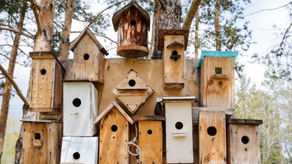 collection of birdhouses outside, birdhouses for charity concept