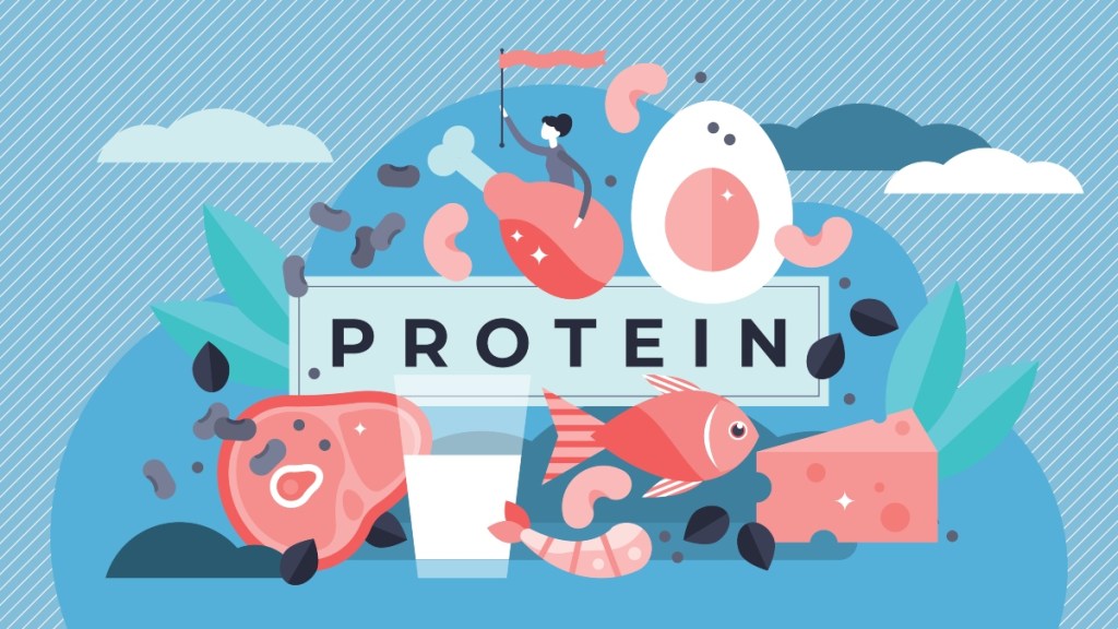 Kadınların Ne Kadar Proteine ​​İhtiyacı Var?