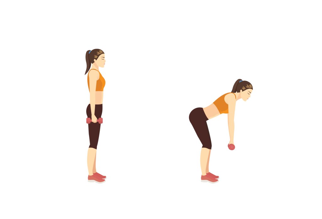 Women,Doing,Dumbbell,Deadlift,Workout,In,2,Steps,To,Target