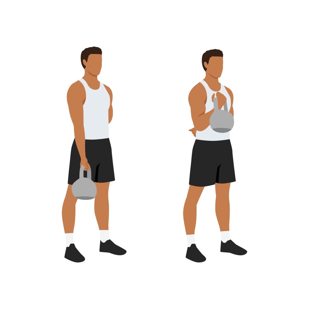 Man,Doing,Bicep,Curl,With,Kettlebell,Exercise.,Flat,Vector,Illustration