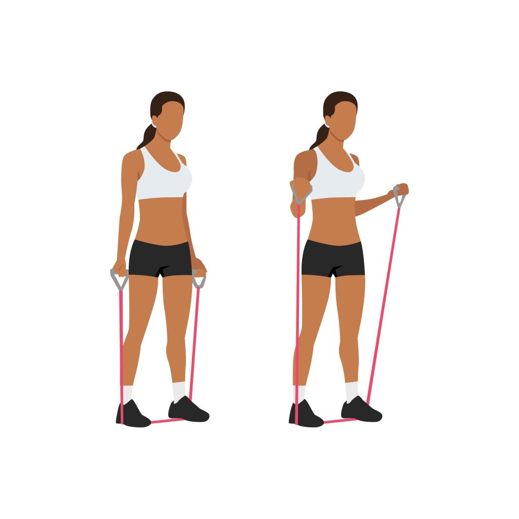 Woman,Doing,Resistance,Band,Bicep,Curls,Exercise.,Flat,Vector,Illustration