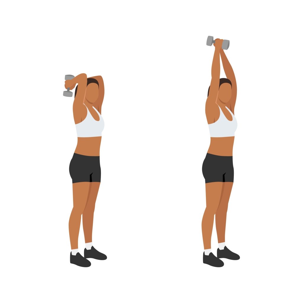 Woman,Doing,Dumbbell,Triceps,Extension,Exercise.,Flat,Vector,Illustration,Isolated