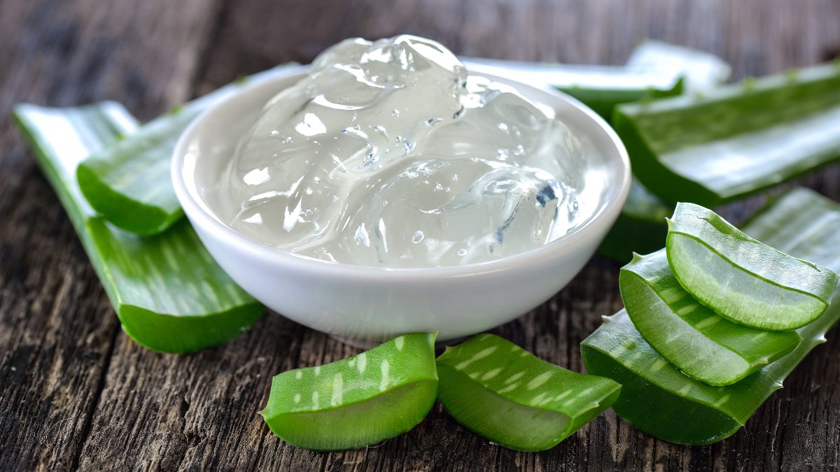 Aloe Vera: Beauty Benefits for Skin, Hair, and More - Woman's World