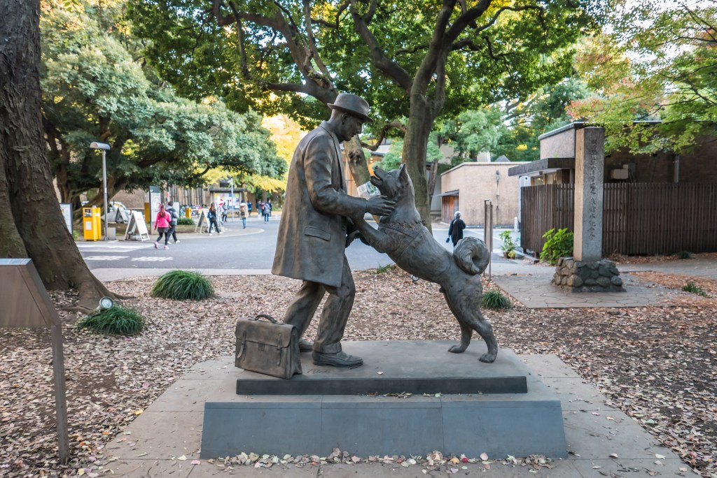 Tokyo - Dec 4, 2015 - The statue of Hachiko and his owner is built and located at the faculty of Agriculture at Todai university where his owner worked as professor during being alive