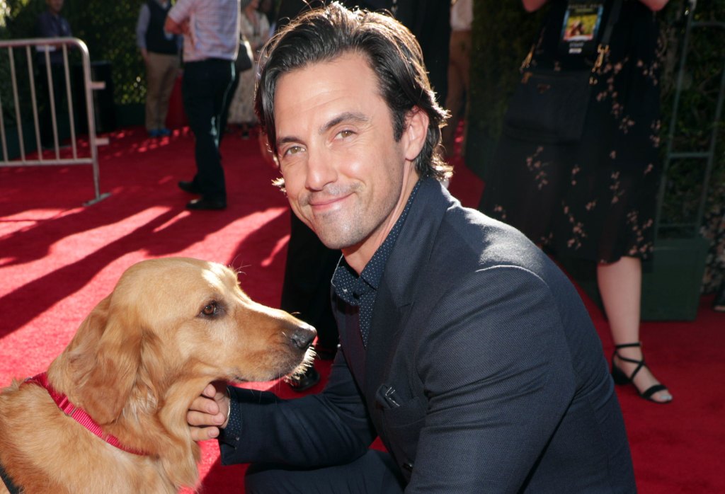 Twentieth Century Fox 'The Art of Racing in the Rain' film premiere at El Capitan Theatre, Los Angeles, USA - 01 Aug 2019

Parker, Milo Ventimiglia