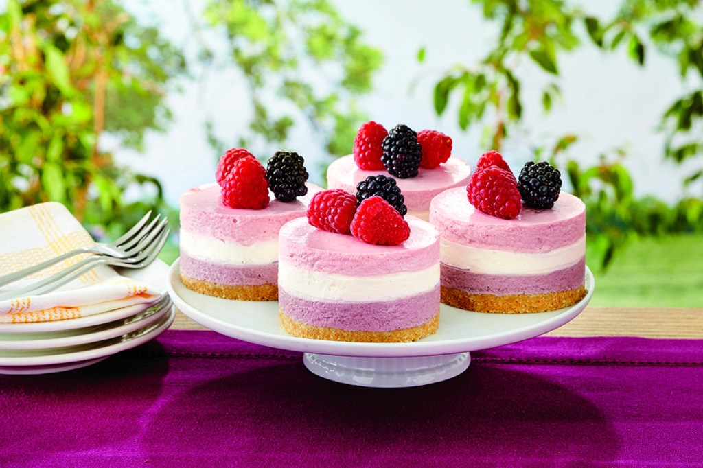 Layered Berry Mousse Cakes 