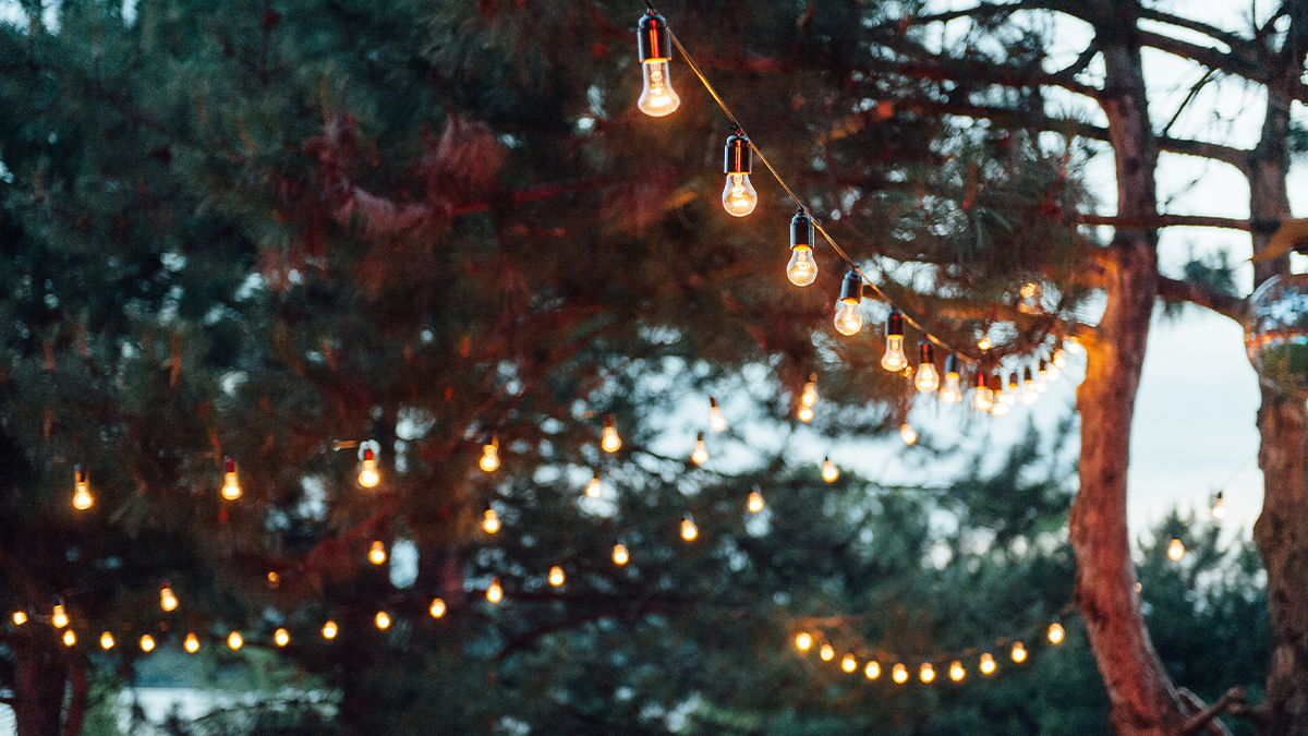 lights on trees