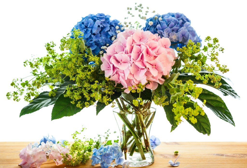 Blue and pink hydrangeas in colors that match mermaid party