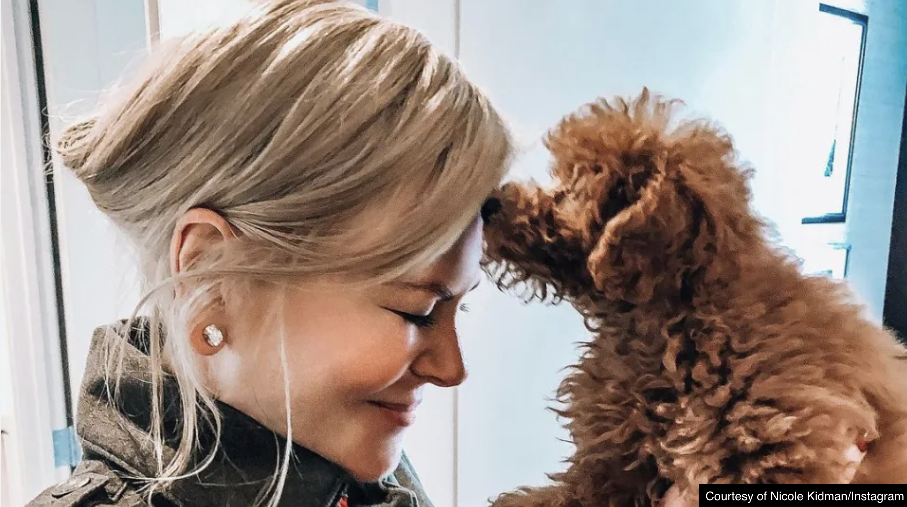Nicole Kidman, Keith Urban, and Dog Julian Will Melt Your Heart- Woman's World - Vimarsana News