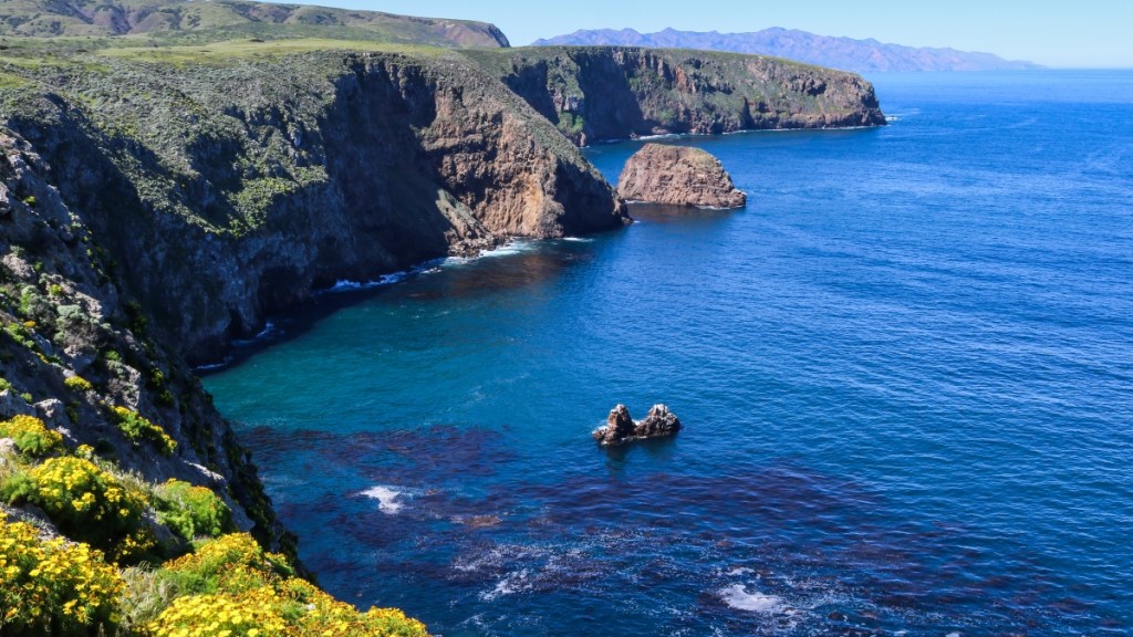Coast at Channel Islands National Park
