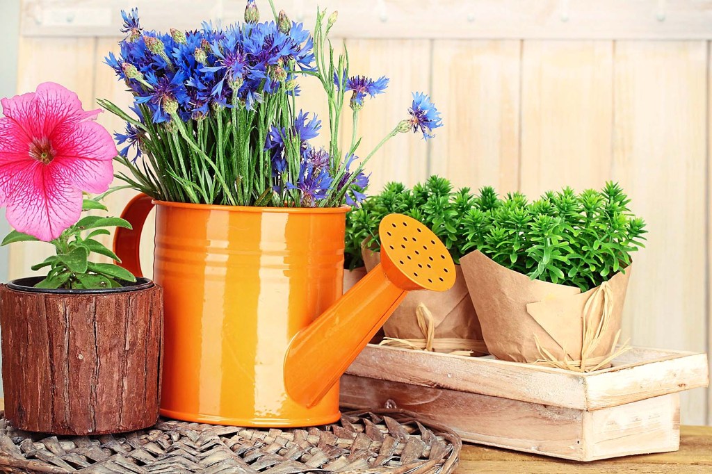 Watering can cachepot that's a clever DIY planter