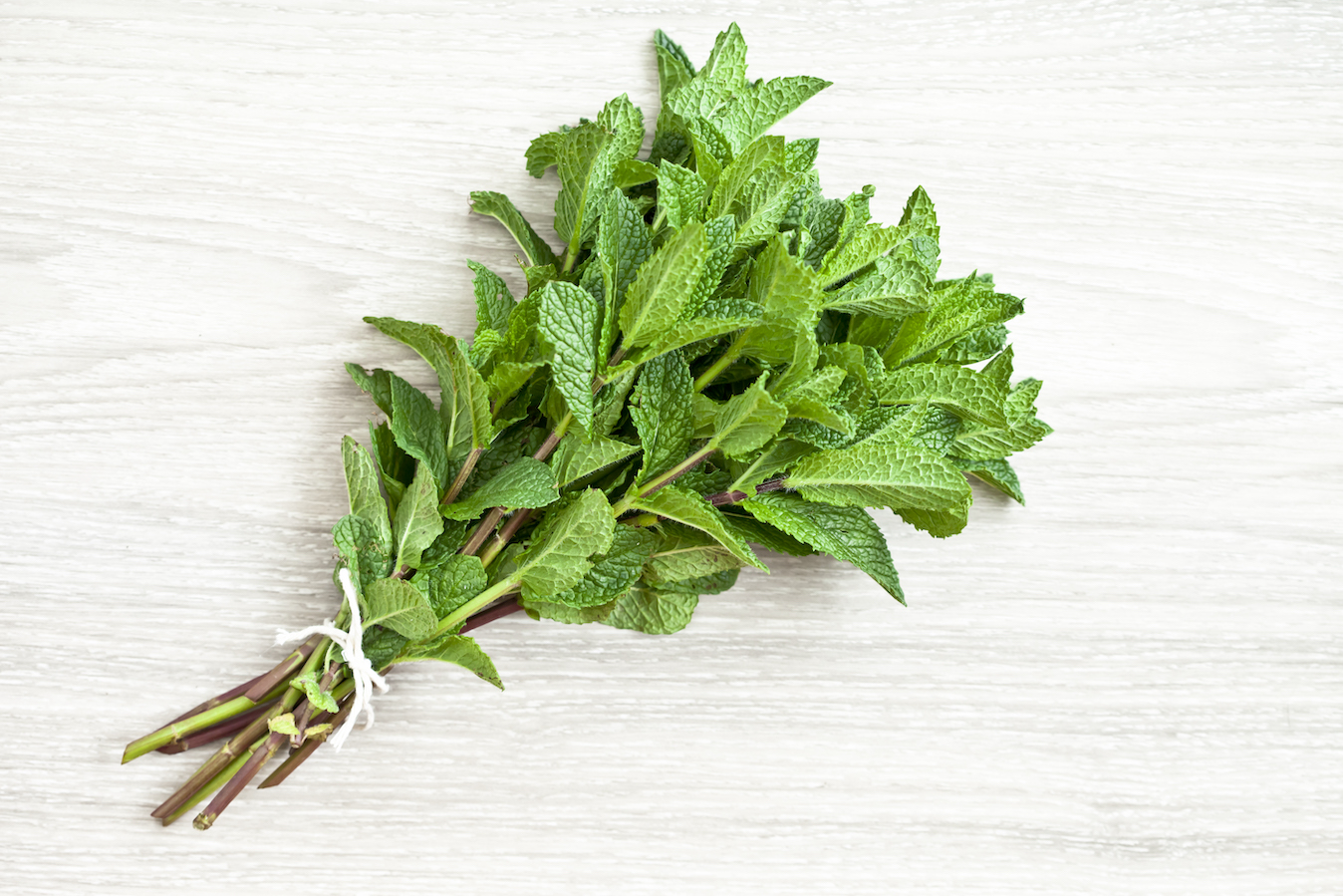 a bunch of fresh picked mint, home remedy to get rid of mice