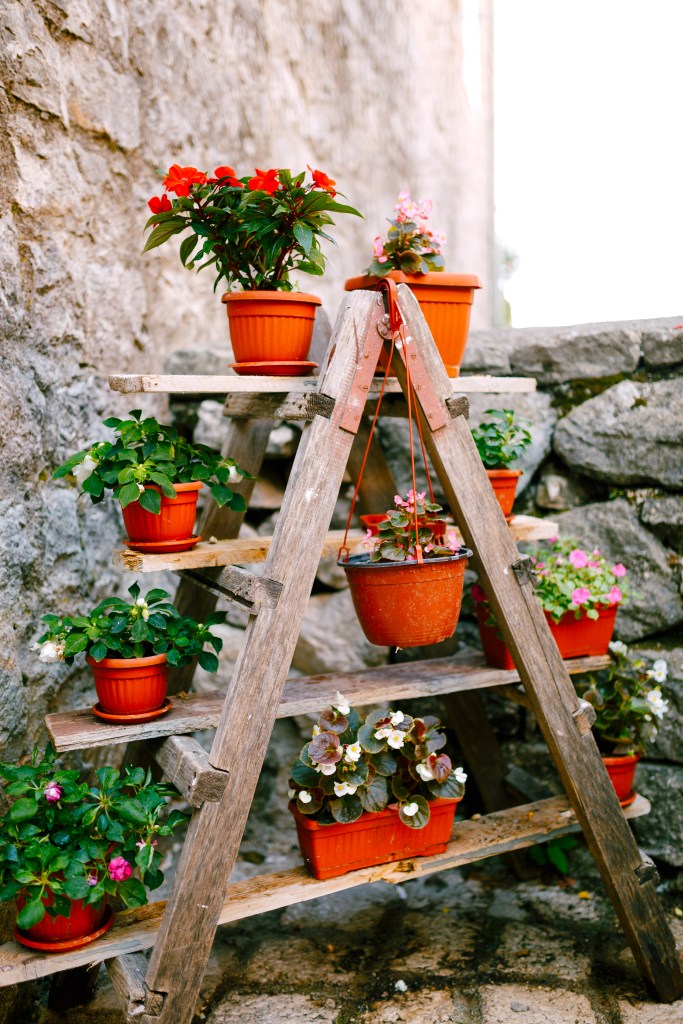 Ladder turned into gardenscape 