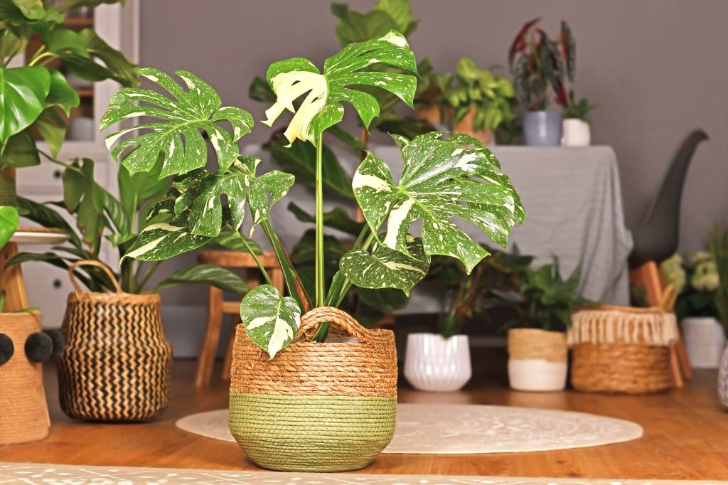 Wicker basket planter trash to treasure