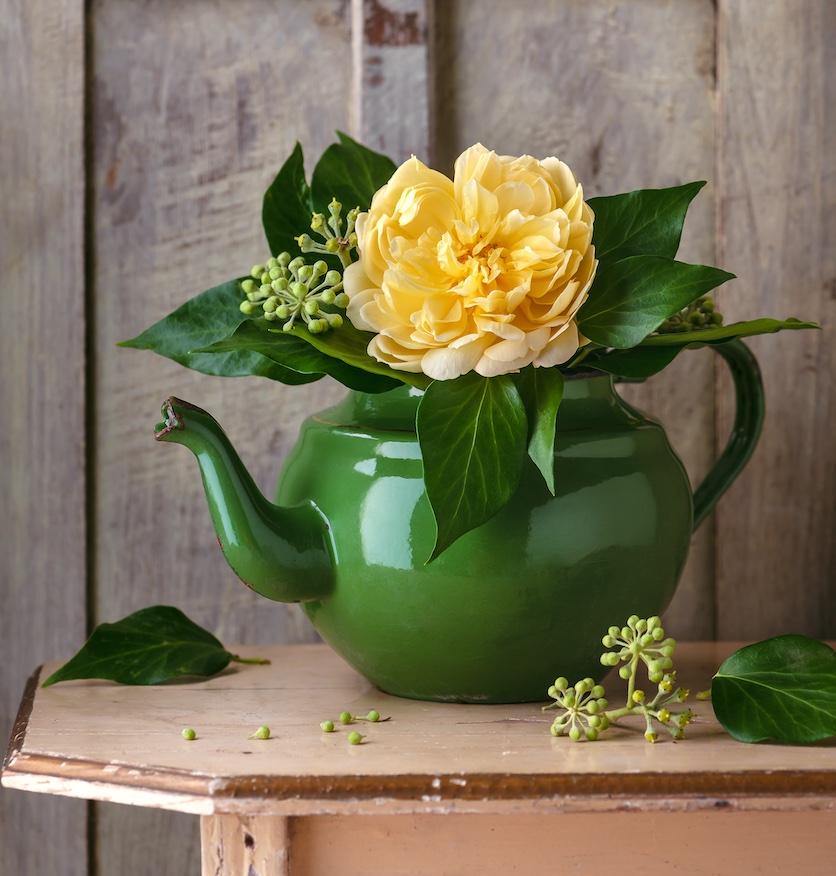 Green teapot that's been transformed into a DIY planter centerpiece