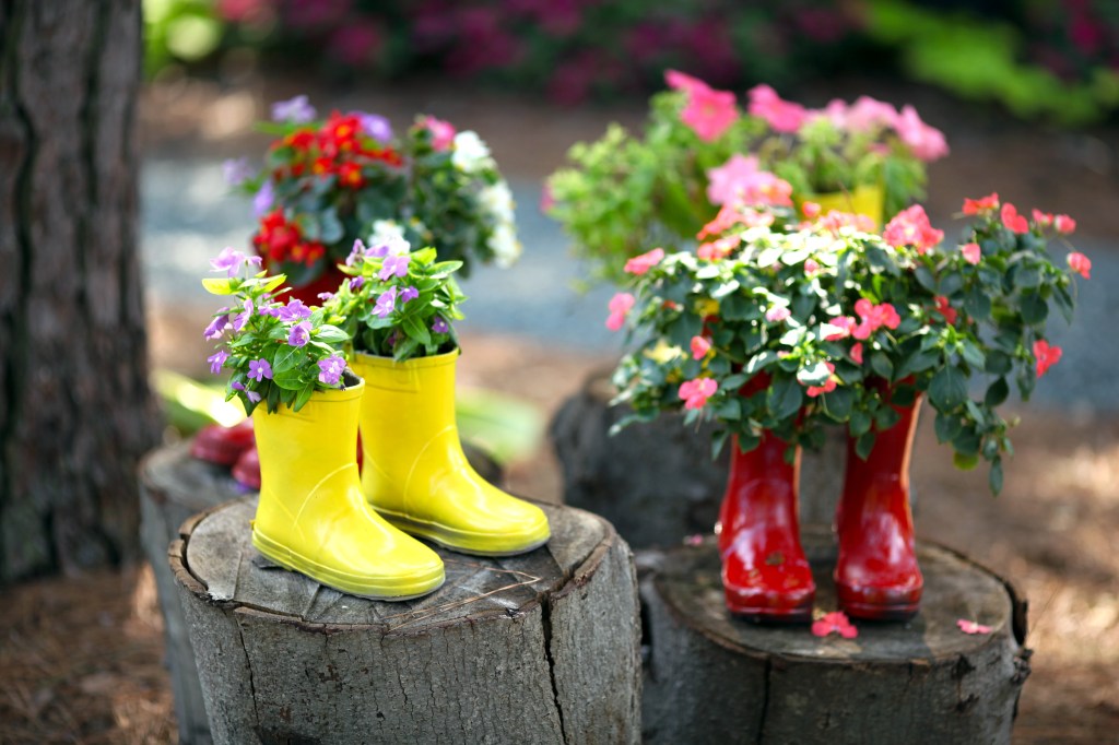 Cute rain boots used as flower planters