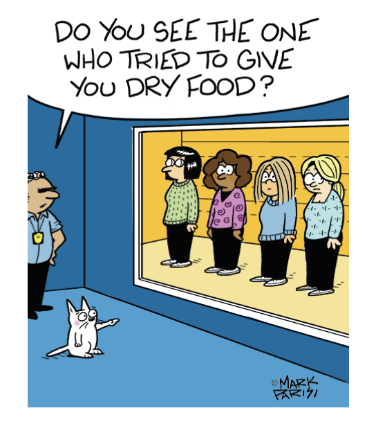 Jokes about cats: A cat lets the cops know who feed them the wrong food 