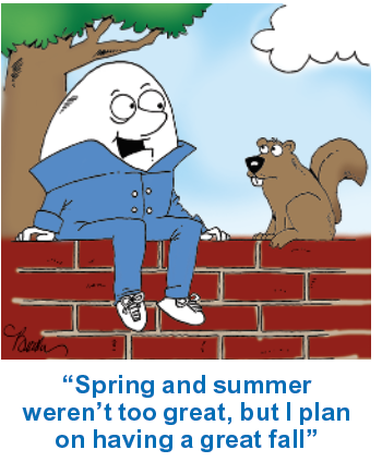 Autumn jokes: humpty dumpty sits on a wall