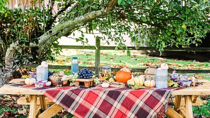 Fall Picnic Ideas: Picnic table topped with plaid cloth and autumn snacks and bites