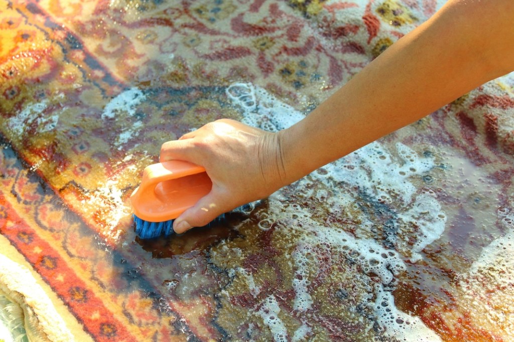Hand wash the carpet. Carpet washing manually. (how to clean shag carpet) 