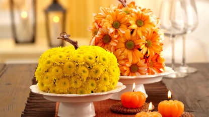 Halloween blooming pumpkins on table feature image
