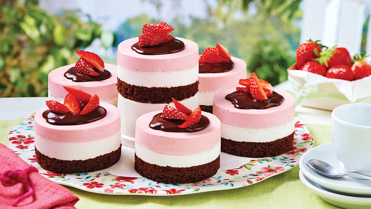 Neapolitan Mousse Cake