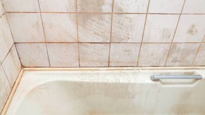 Is pink mold in shower dangerous: Dirty bath and shower tiles