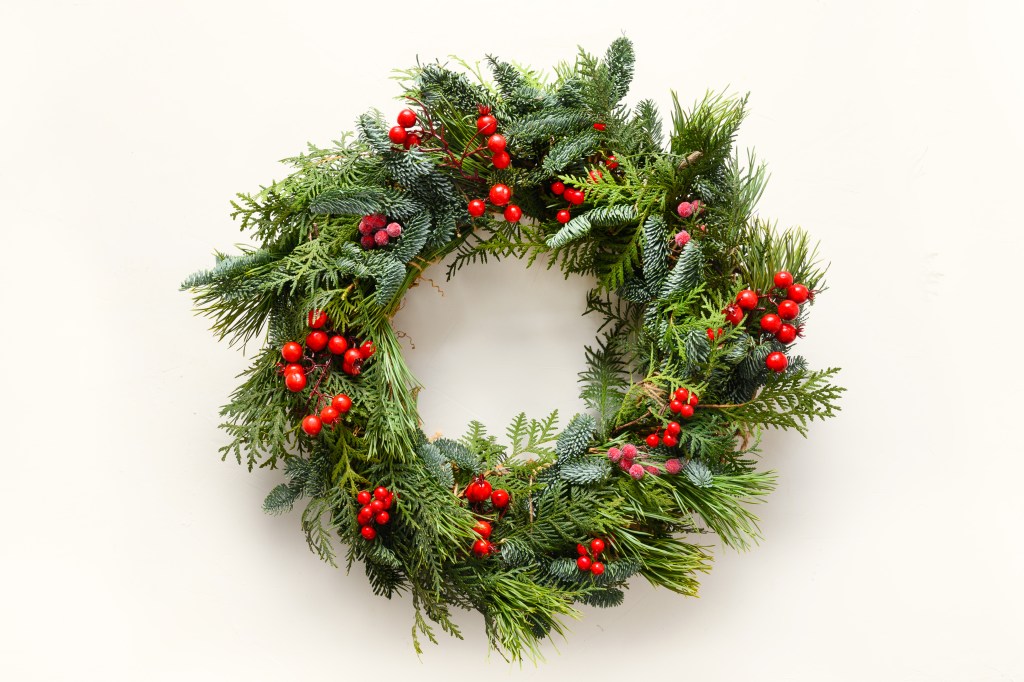 Wreaths decorating party: Festive Christmas wreath of fresh natural spruce branches with red holly berries isolated on white background. New Year. Top view. Traditional decoration for Xmas holiday.