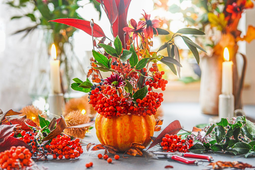 Friendsgiving: Autumn home decoration with pumpkin vase and Rowan berries branches, flowers and fall leaves on table with candles at window background