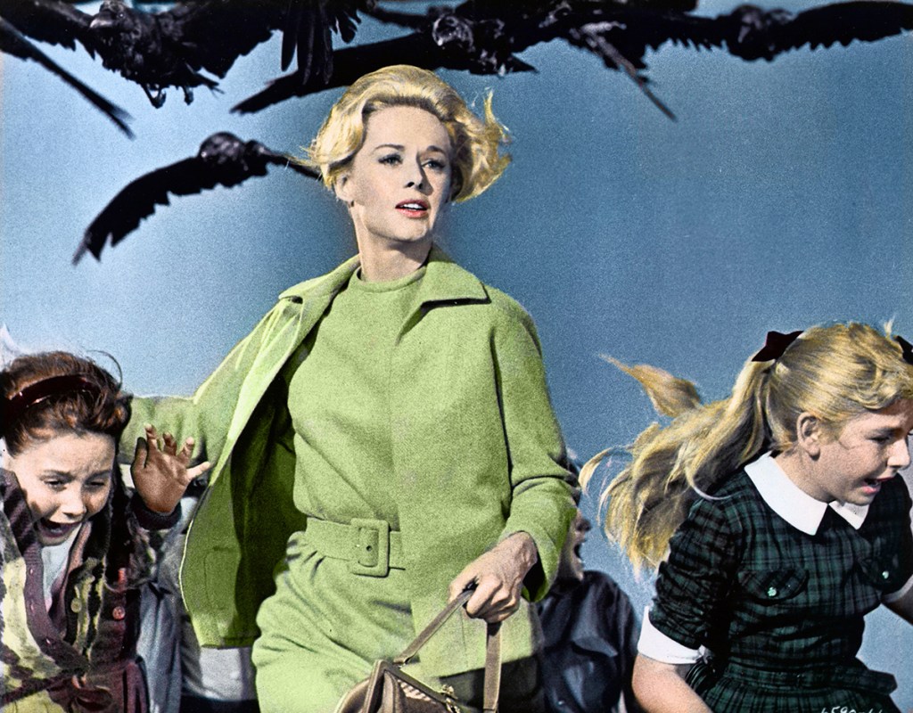 Tippi Hedren in The Birds 1963 Movies