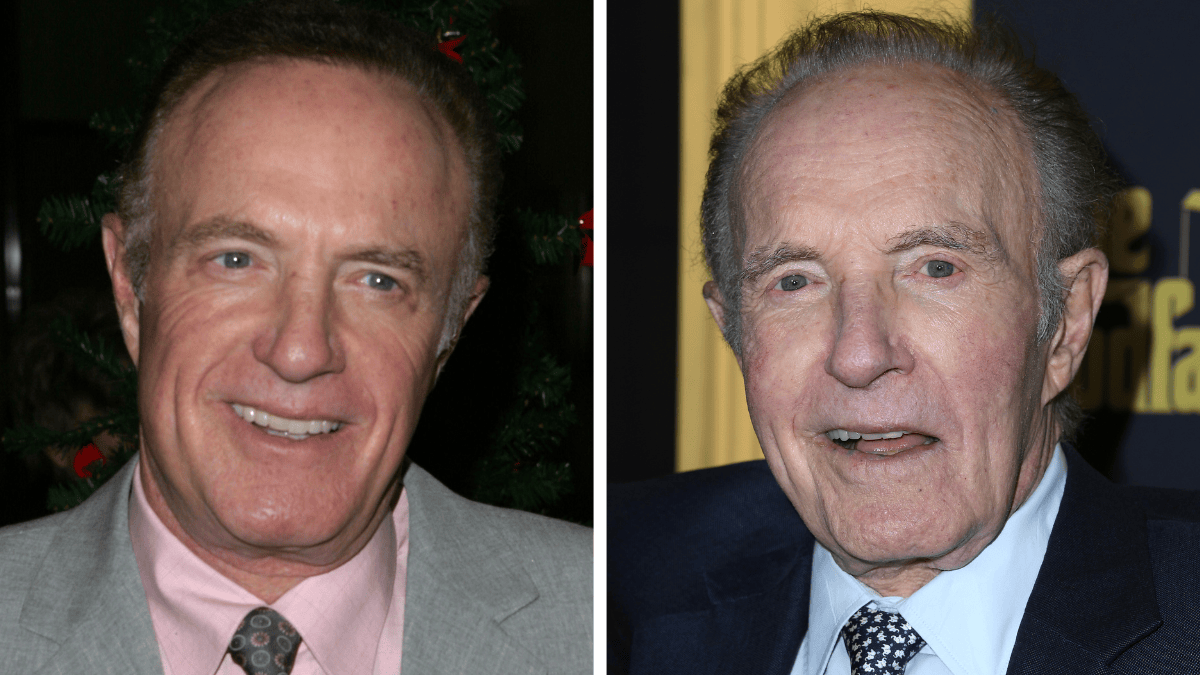 Cast of Elf Then and Now: See the Stars 20 Years Later! | Woman's World