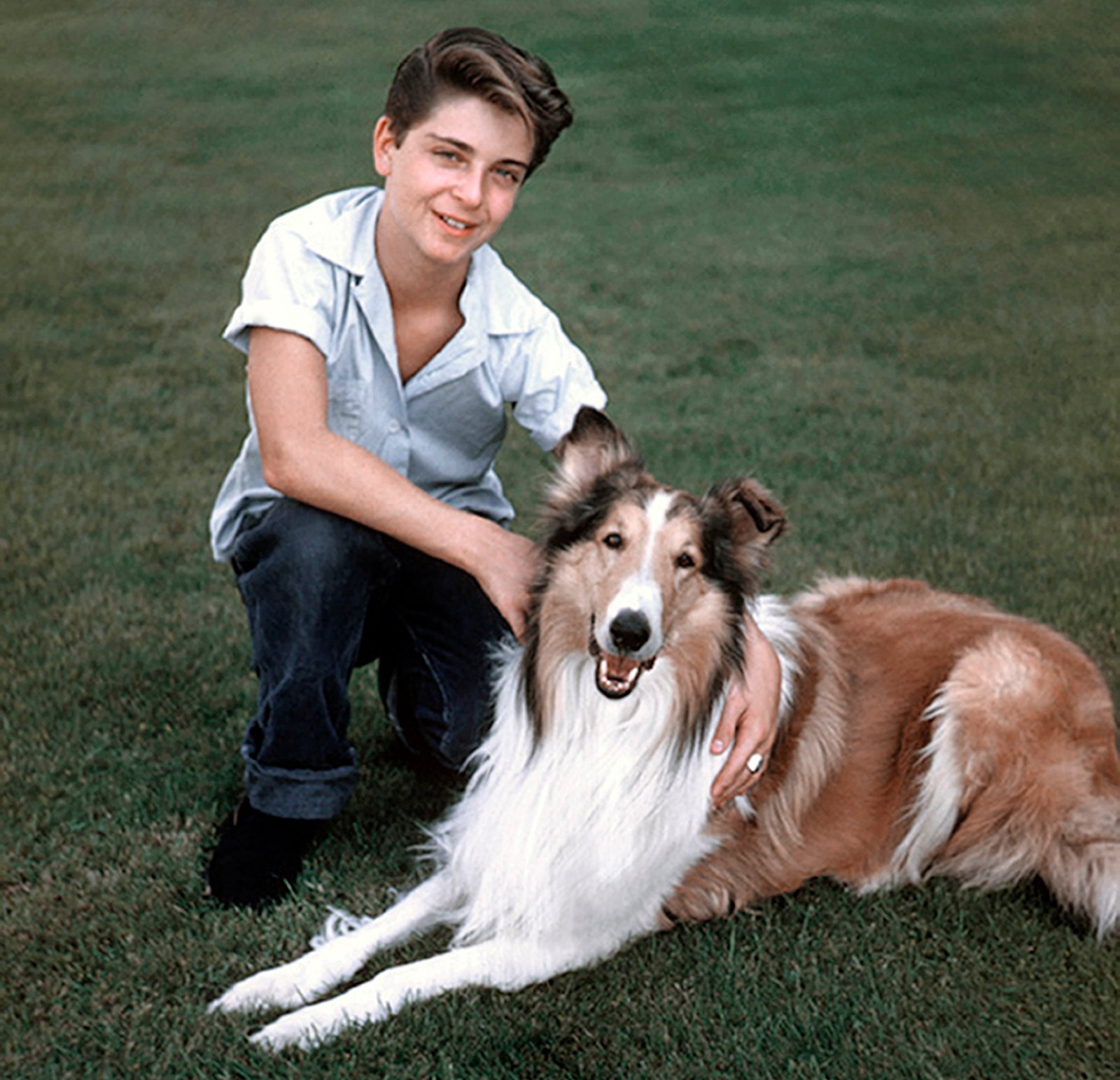 Lassie Cast Here s What Happened To June Lockhart And Her Co Stars Lassie Cast Here s What Happened To June Lockhart And Her Co Stars