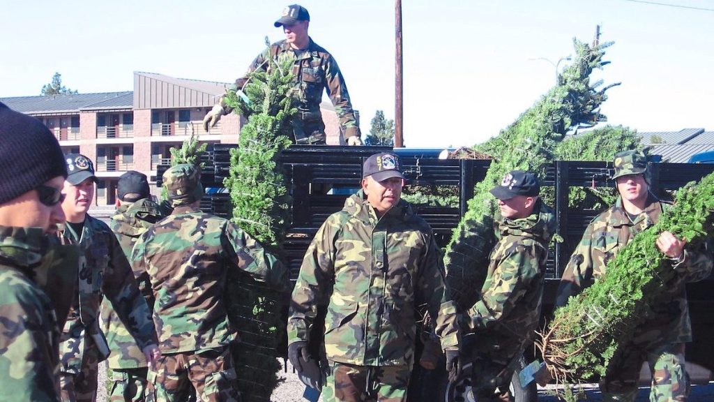 Soldiers working for Trees for Troops, unloading trees 
