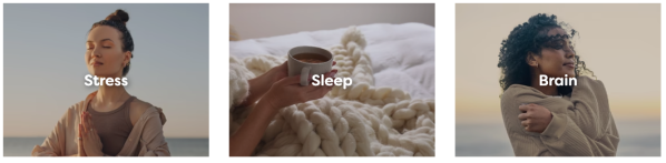 Screenshot-2023-12-11-at-11.15.16 AM