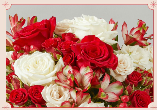 Screenshot-2023-12-12-at-10.38.38 AM