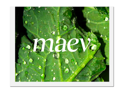 Screenshot-2023-12-12-at-7.15.11 AM