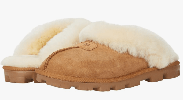 Screenshot-2023-12-18-at-11.13.49 AM