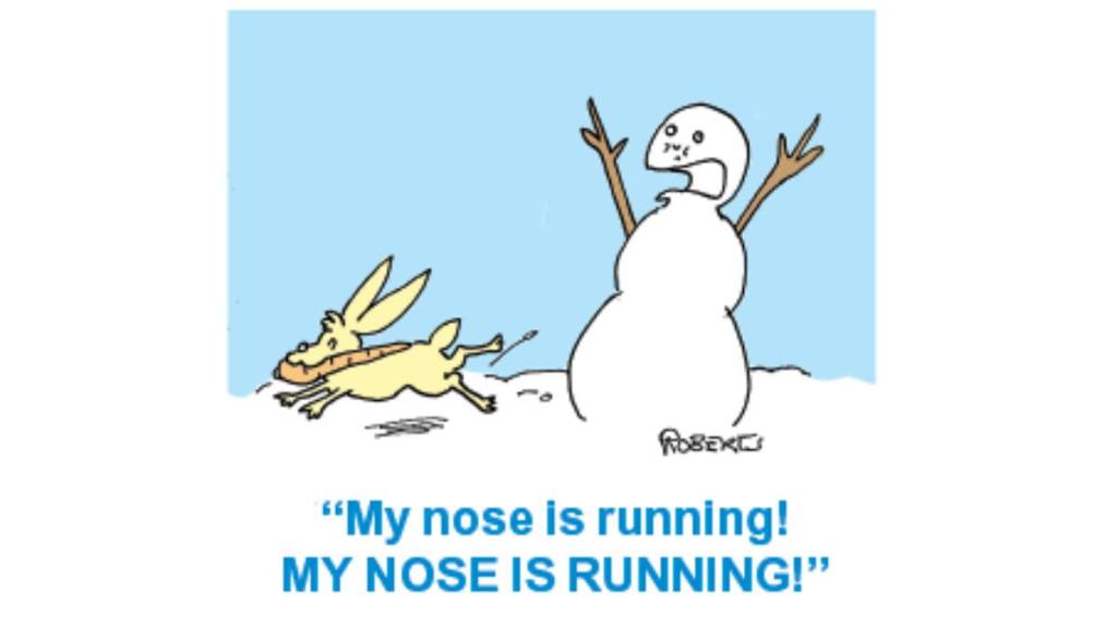 Winter Jokes: a bunny steals a snowmans nose