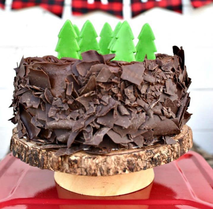 Winter brunch ideas: Bark cake woodland chocolate cake on wooden stand with evergreen party picks on top for decoration