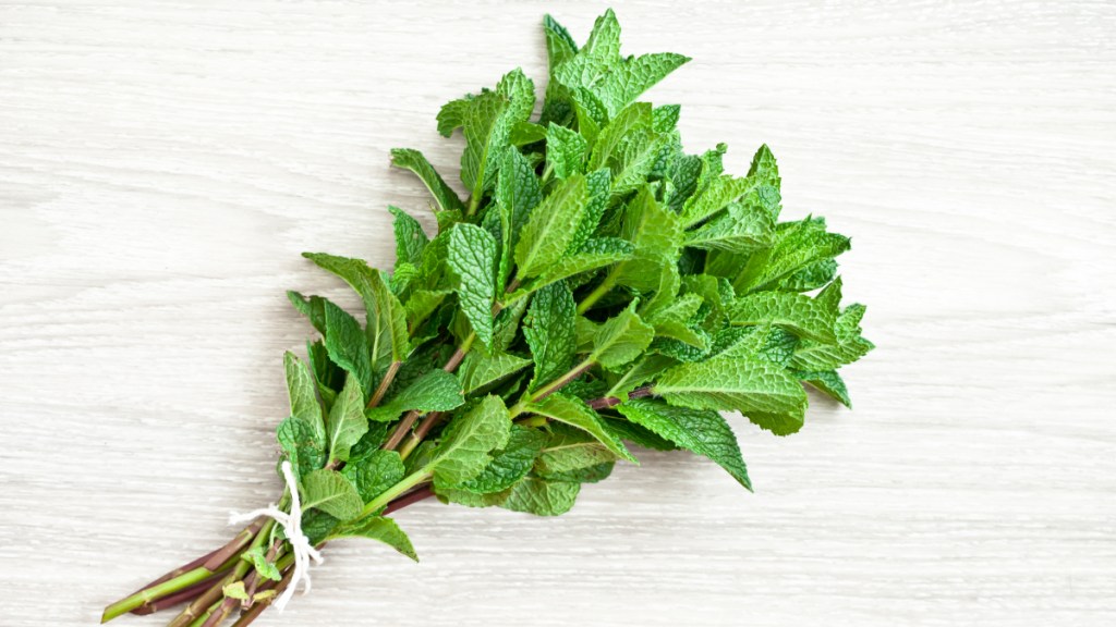 A bunch of fresh mint, which can ease IBD vs IBS