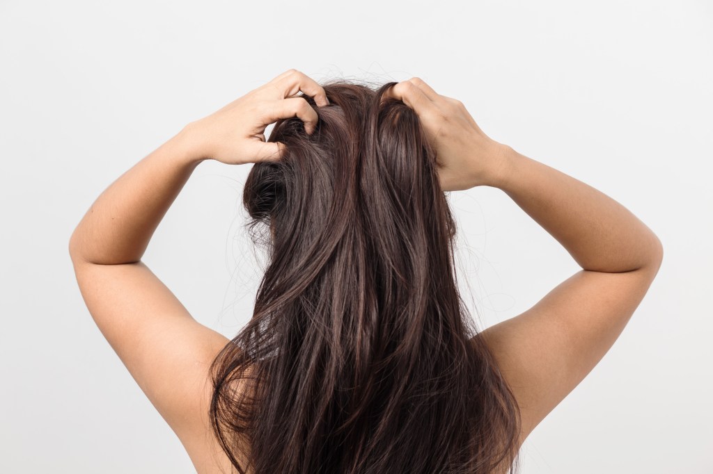 back of woman's head with gorgeous, healthy, hydrated hair