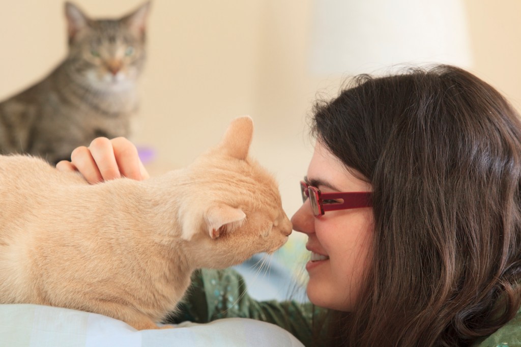 Cat sniffing woman's face with other cat looking on in background