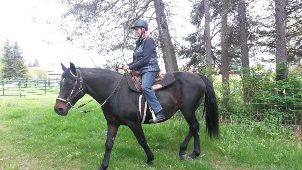 My Guardian Angel horse out for a ride with A. Lee