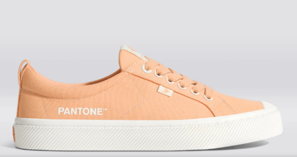 Screenshot-2024-01-03-at-2.18.52 PM