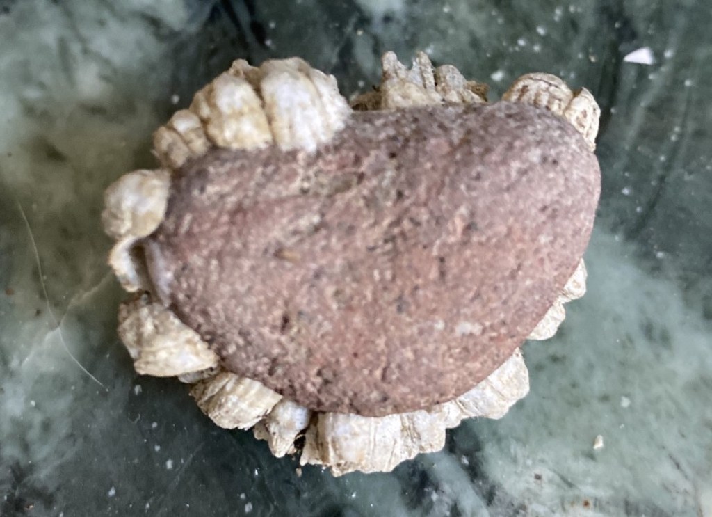 My Guardian Angel heart stone found on the beach