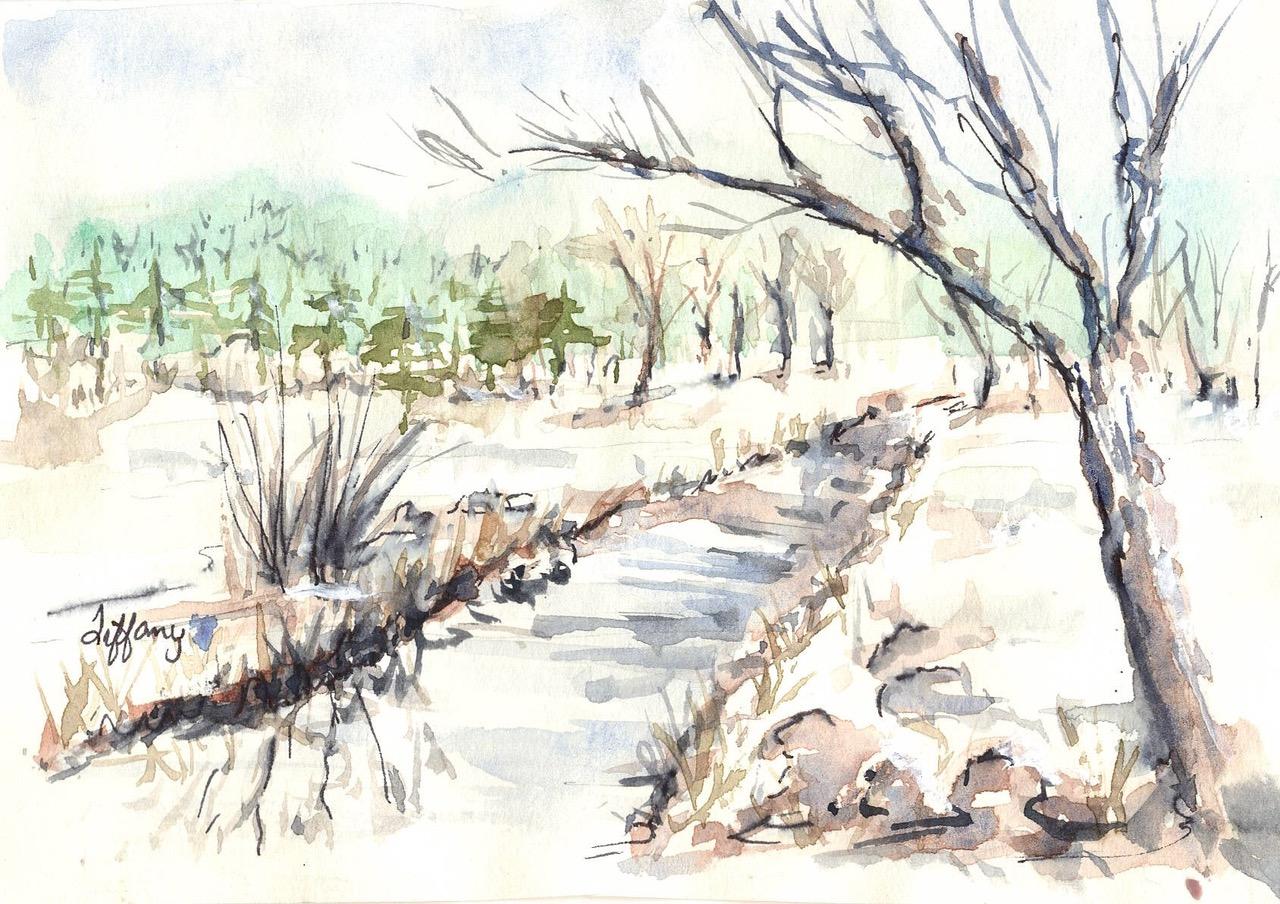 Buffalo Springs Lake Winter by Tiffany Smith, Lubbock, TX, student of Pocket Sketching®