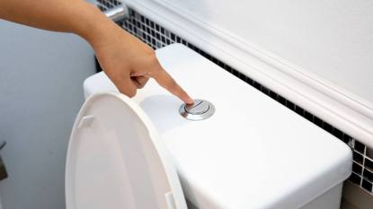 How to Clean Toilet Tank: Hand flush toilet