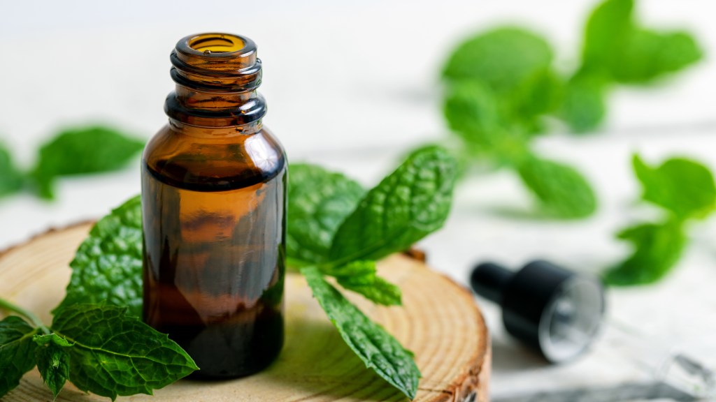 Natural spider repellant:  Peppermint oil on a wooden disc surrounded by fresh peppermint leaves