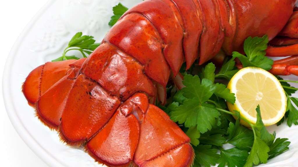 a steamed lobster